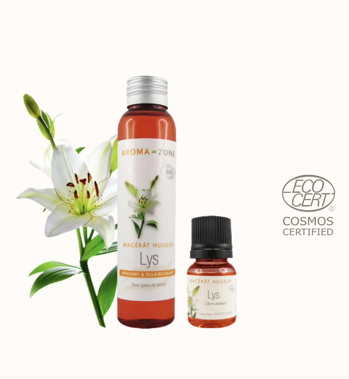 Huile de Lys BIO (macérât huileux)